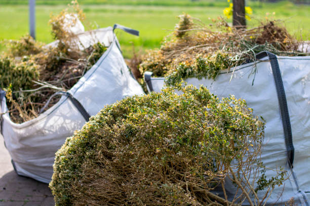 Best Construction Debris Removal  in Catasauqua, PA